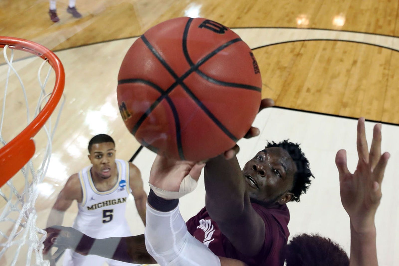 Montana Grizzlies